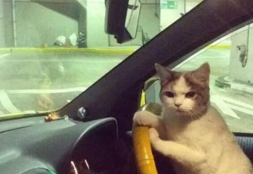 大尺度展會，提前小劇透！